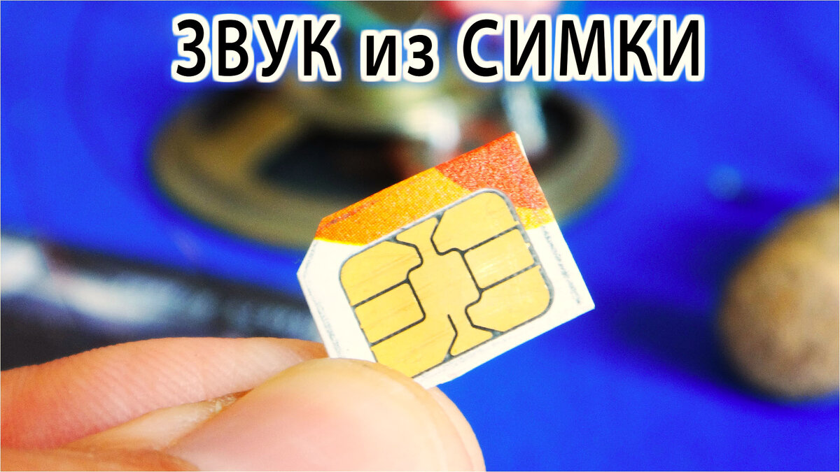 А может нам и СИМка запоёт ?