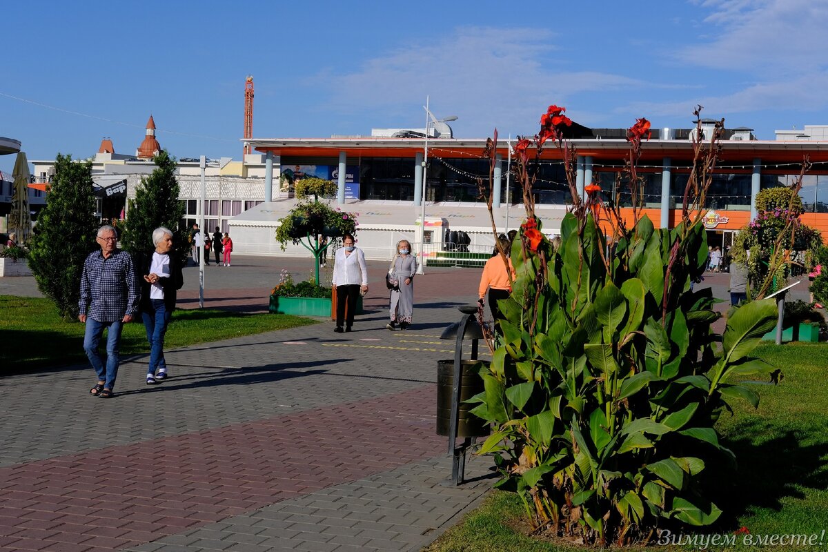 Ладно на территории отеля, но и на улицах у моря, и около пруда, на который мы из окна любуемся.  