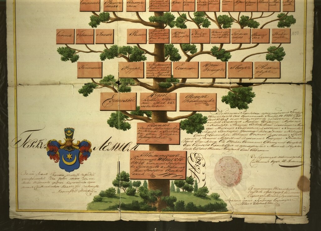 Генеалогическое древо дворянского рода