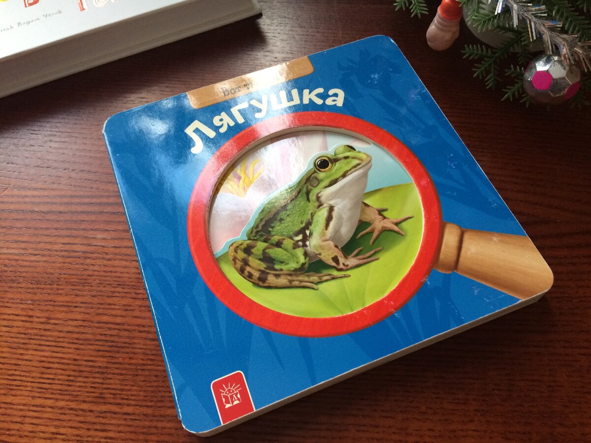 Книжка-картонка «Лягушка», фото автора. 