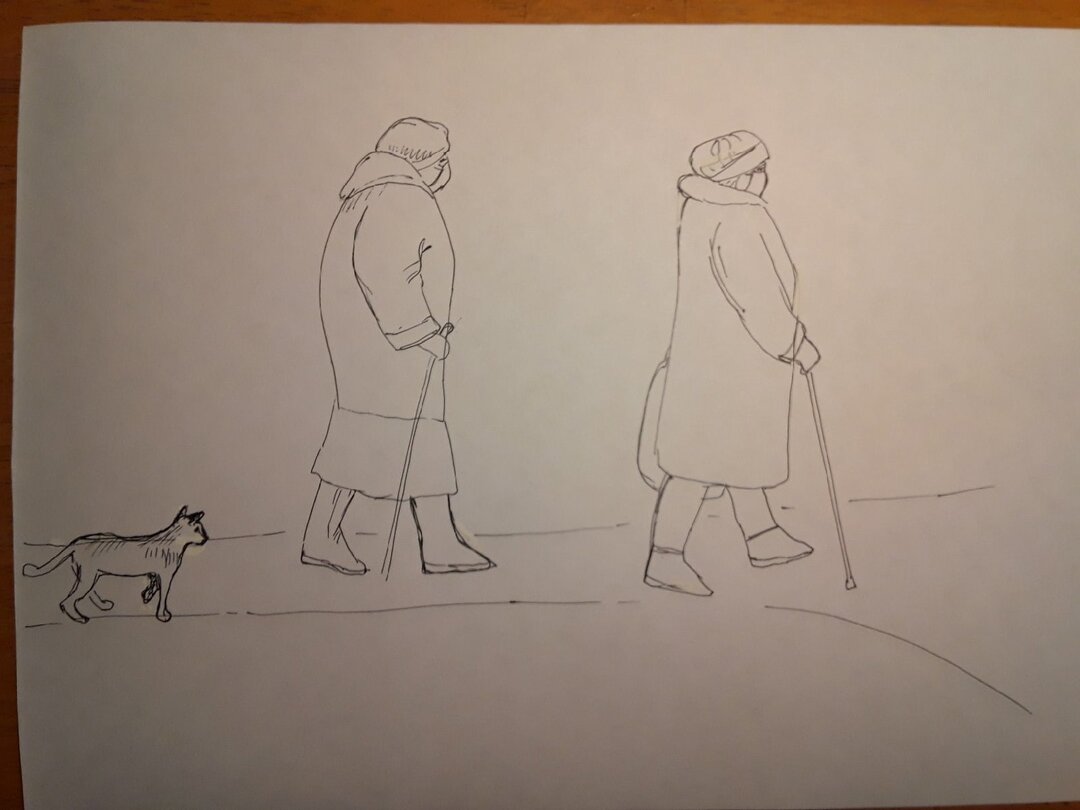 Жизнь двора. Рисунки автора