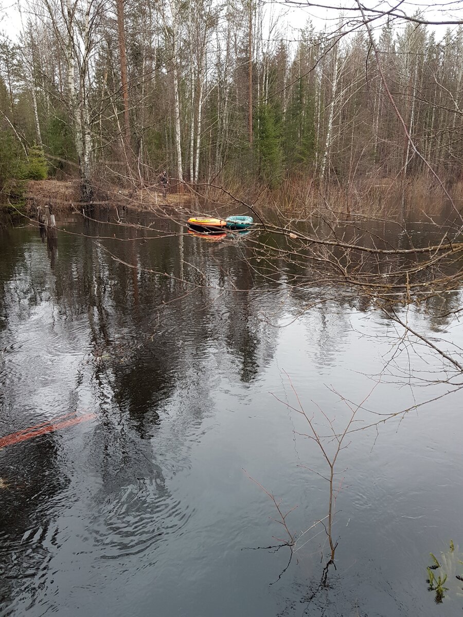 Речка, которую необходимо было перейти для дальнейшей охоты
