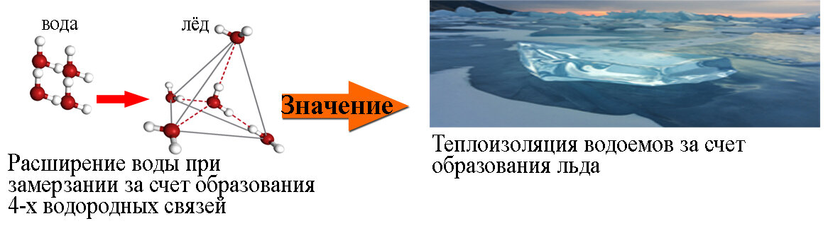 ГДЗ биология 5 класс Пасечник С бабочкой Дрофа 2020 Линейный курс Задание 7 Увеличительные приборы