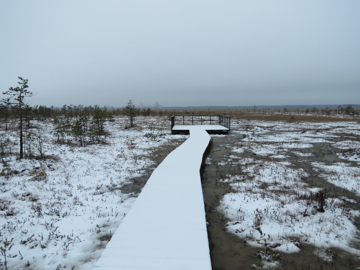 смотровая площадка