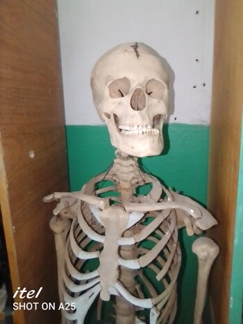 Костик.