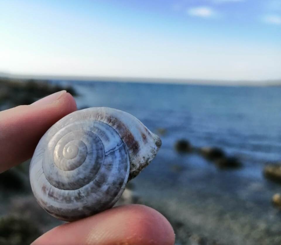 Личное фото.Хочу на море!!!