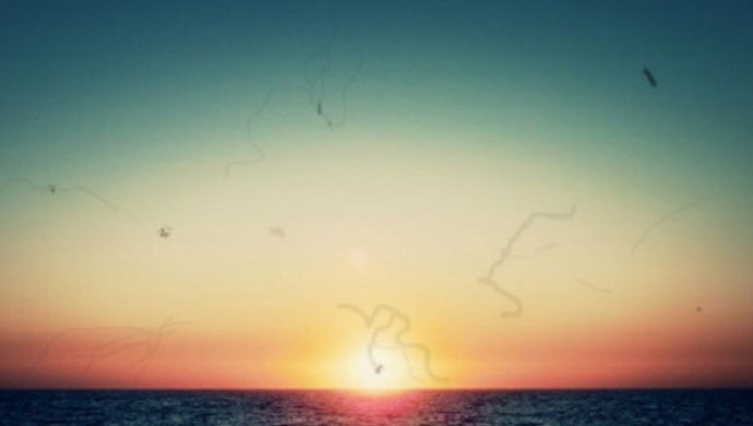 Источник: https://oftb.tmbreg.ru/