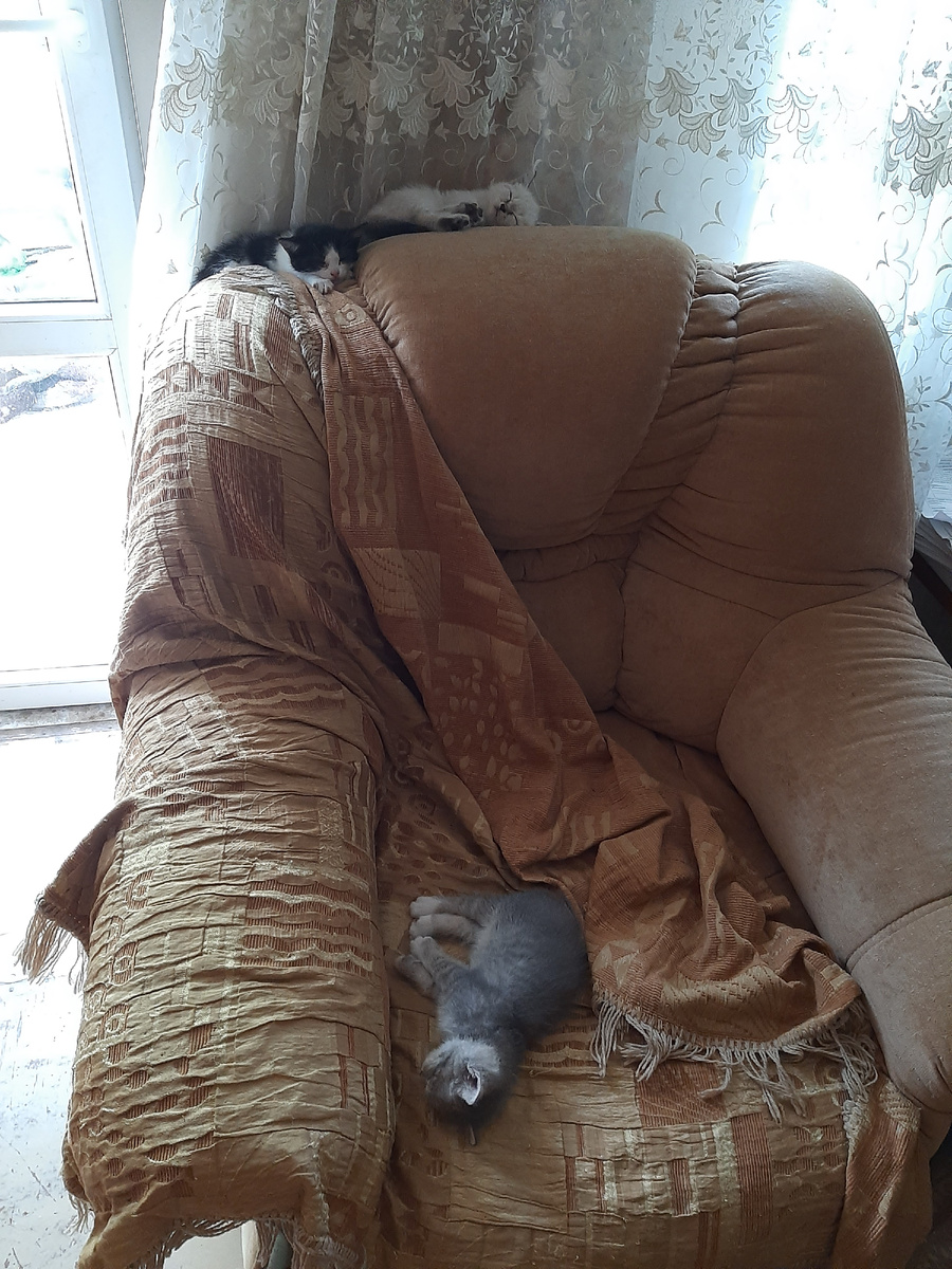 Уже не совсем мое кресло