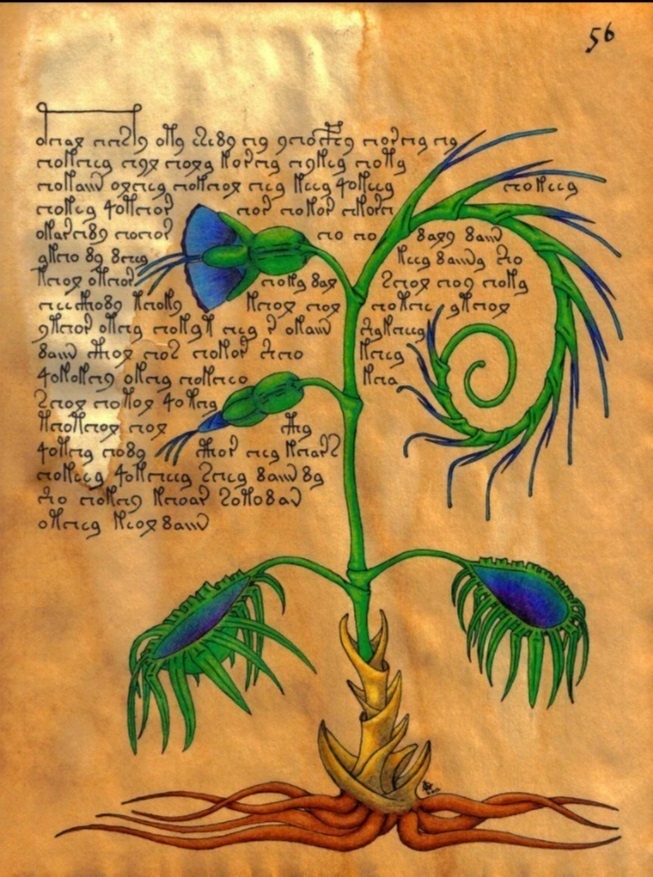 По рисованию можно поставить твердую четвёрку