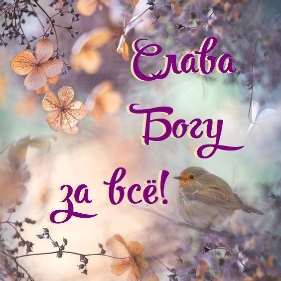 Картинка из свободного доступа Яндекс-картинки