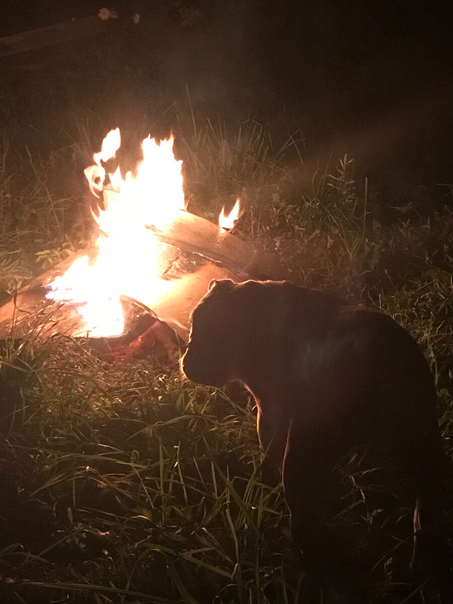Как же успокаивает пламя костра
