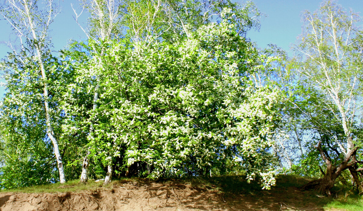 Фотография, стихотворение Василия Глуцкого