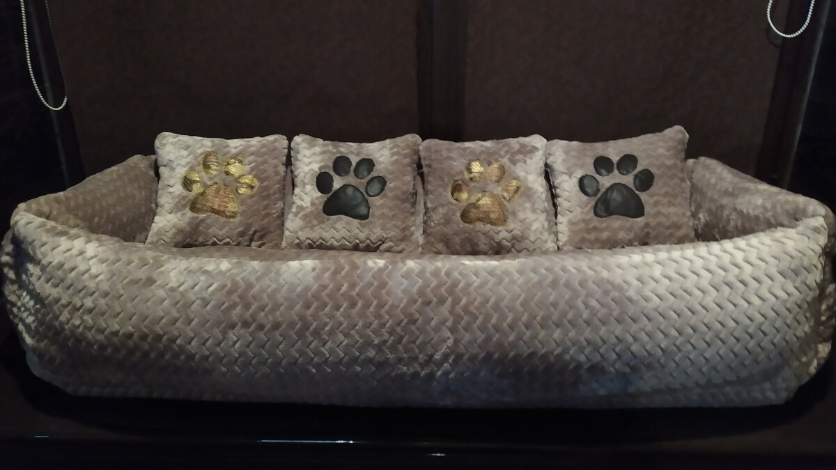 Новая лежанка.