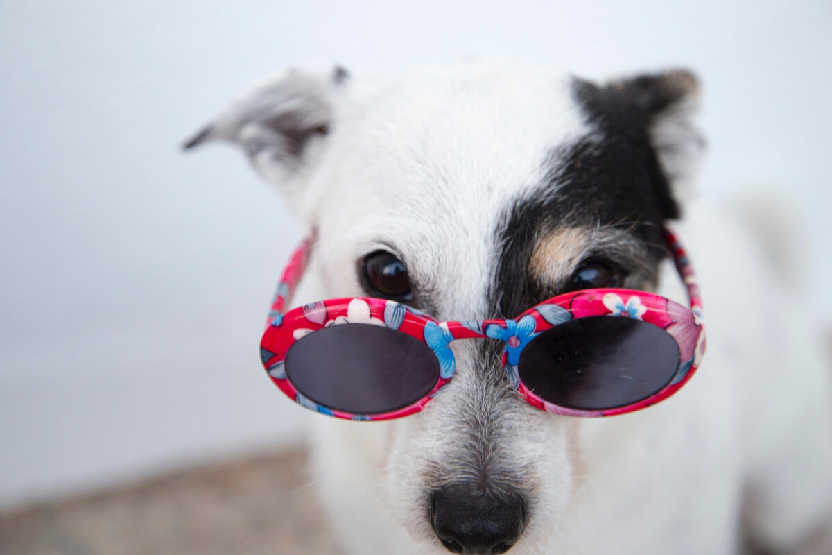 Кого лечить будем?