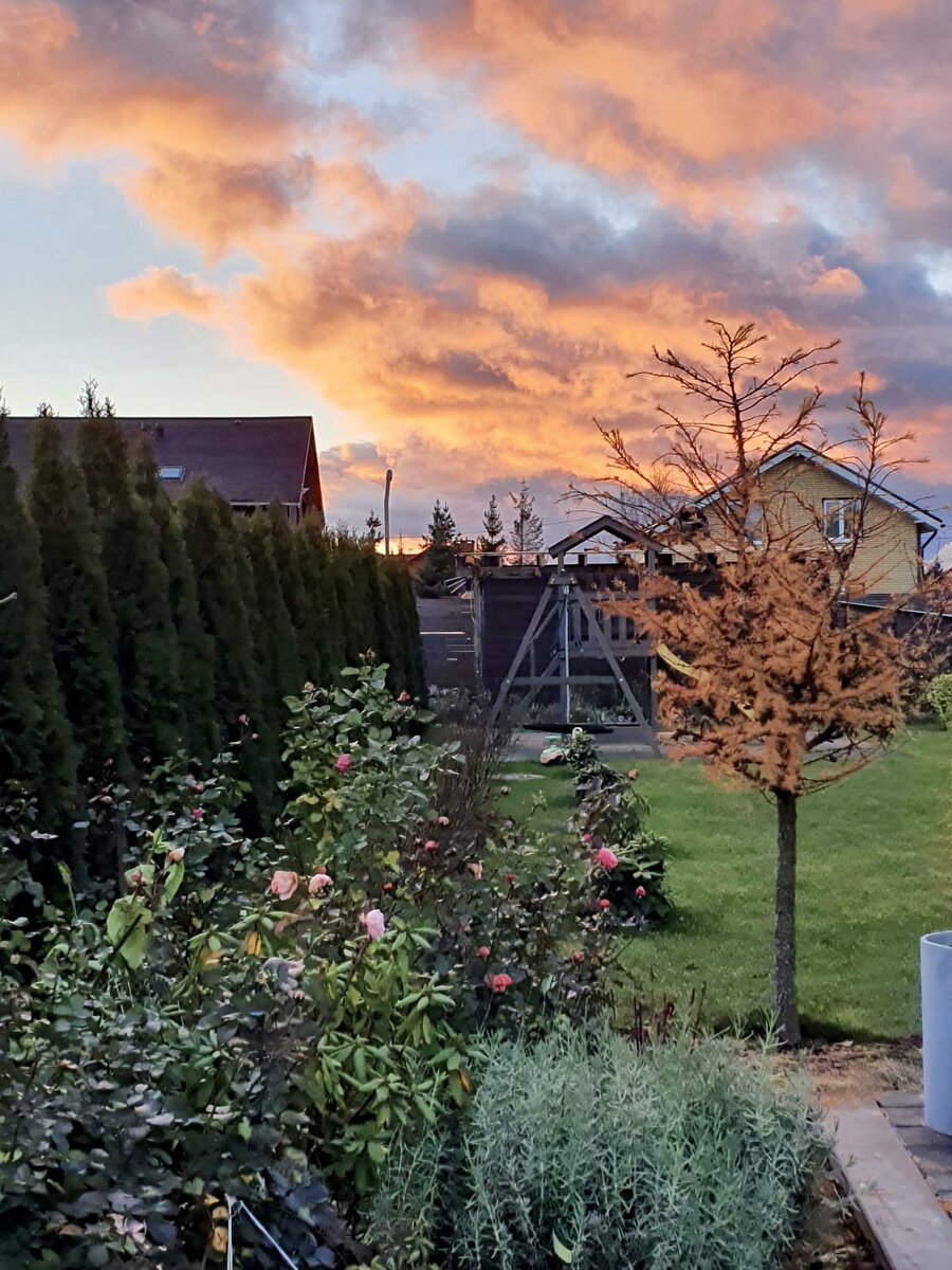 Золотая во всех смыслах осень