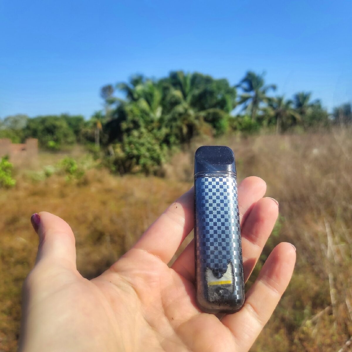 Этот малыш проехал со мной половину Индии