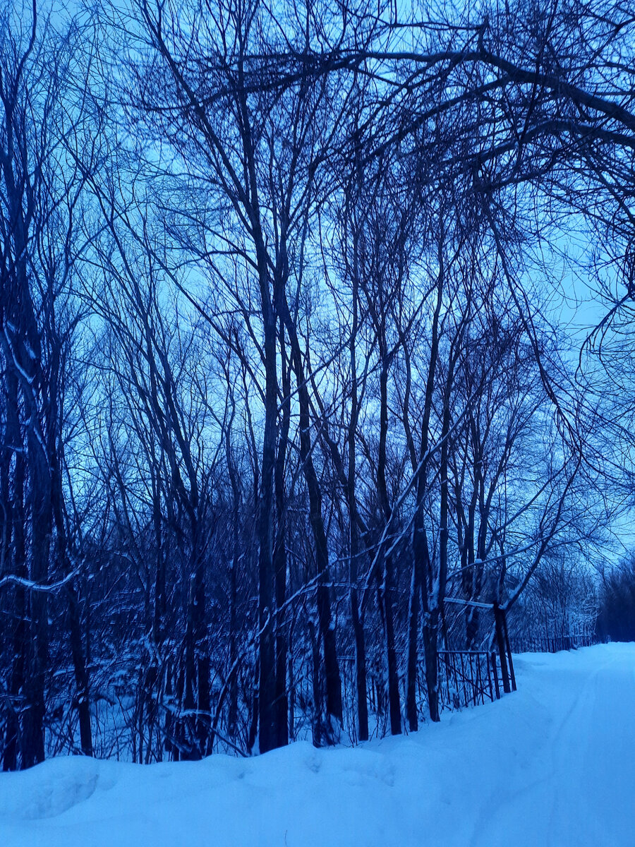 Я не знаю по какой такой причине, но после 17.00, когда ещё светло на улице, камера делает такие фото🤔 