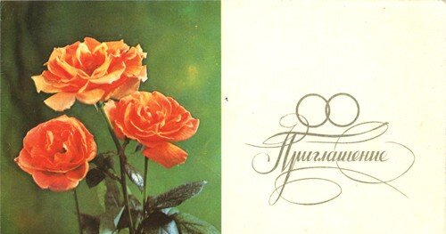 Опять розы!