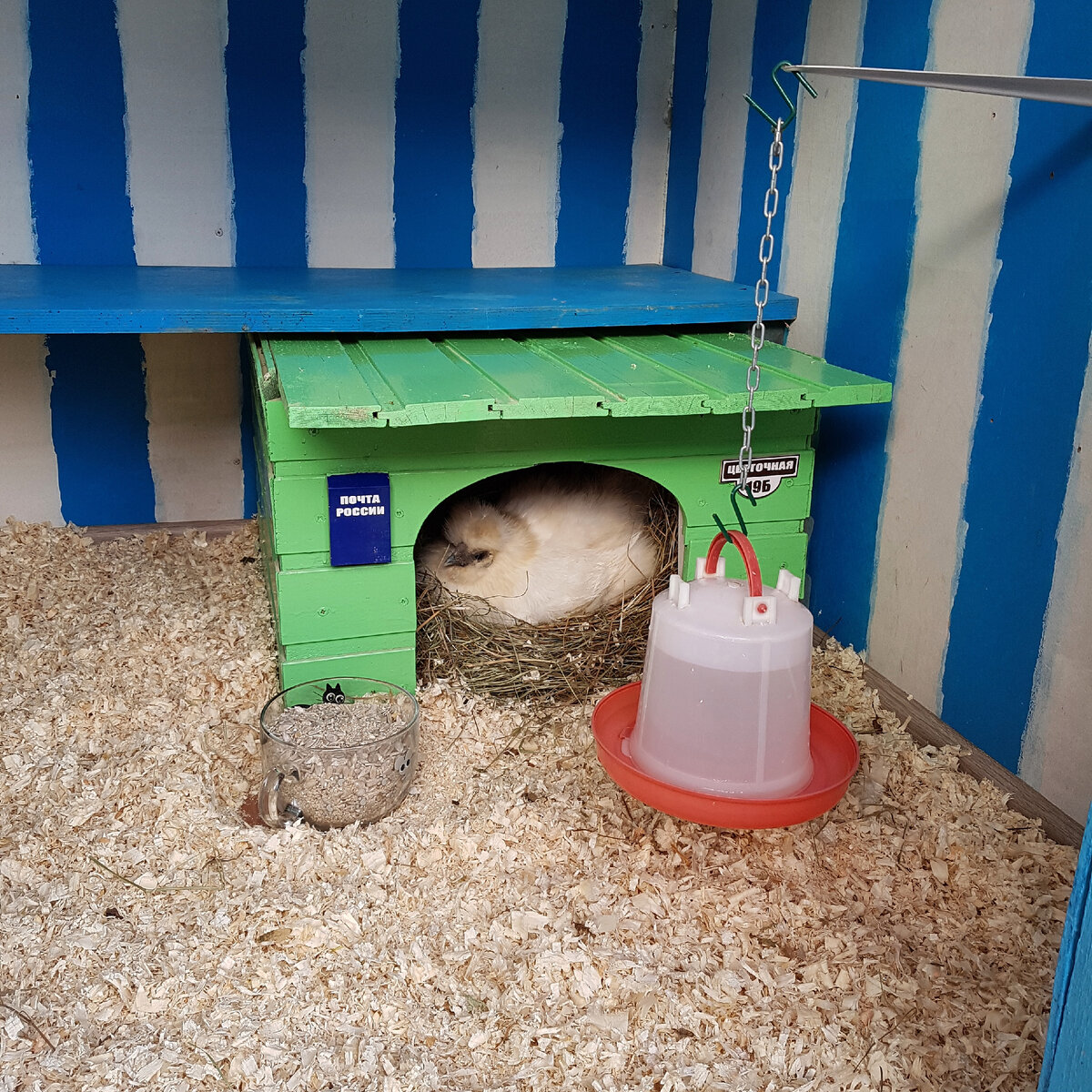 Мобильный домик для наседки