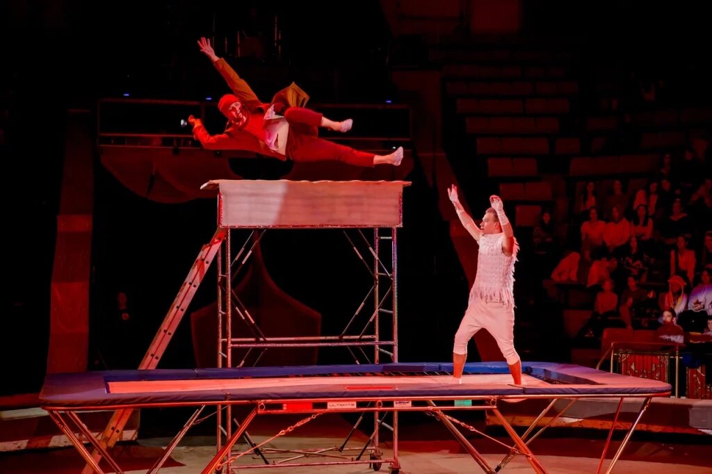 Тверской цирк. «Юбилейная программа» покоряет сердца зрителей