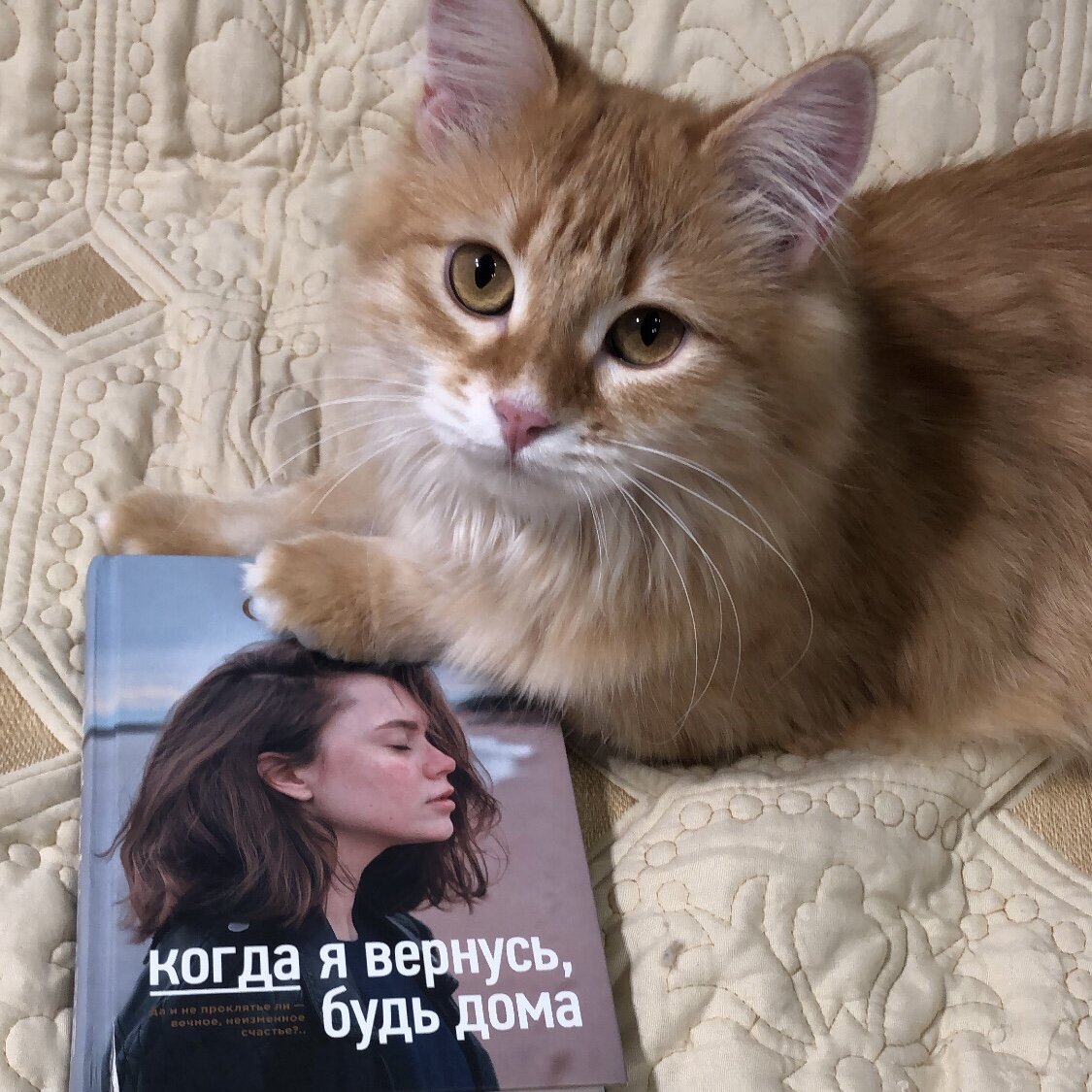 (с) Крошка Читатель