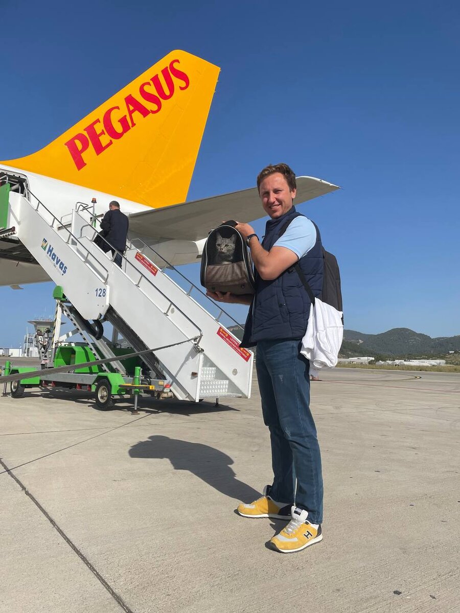 В самолете и аэропорту Коша смирно сидит в сумке, много посторонних звуков пугают. А вот в машине она не прочь полазить и поглазеть по сторонам.