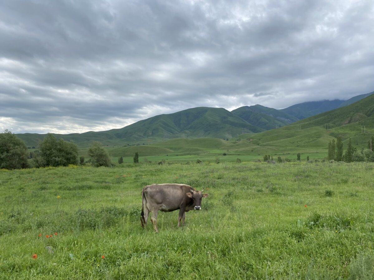 По пути к водопаду Белогорка 