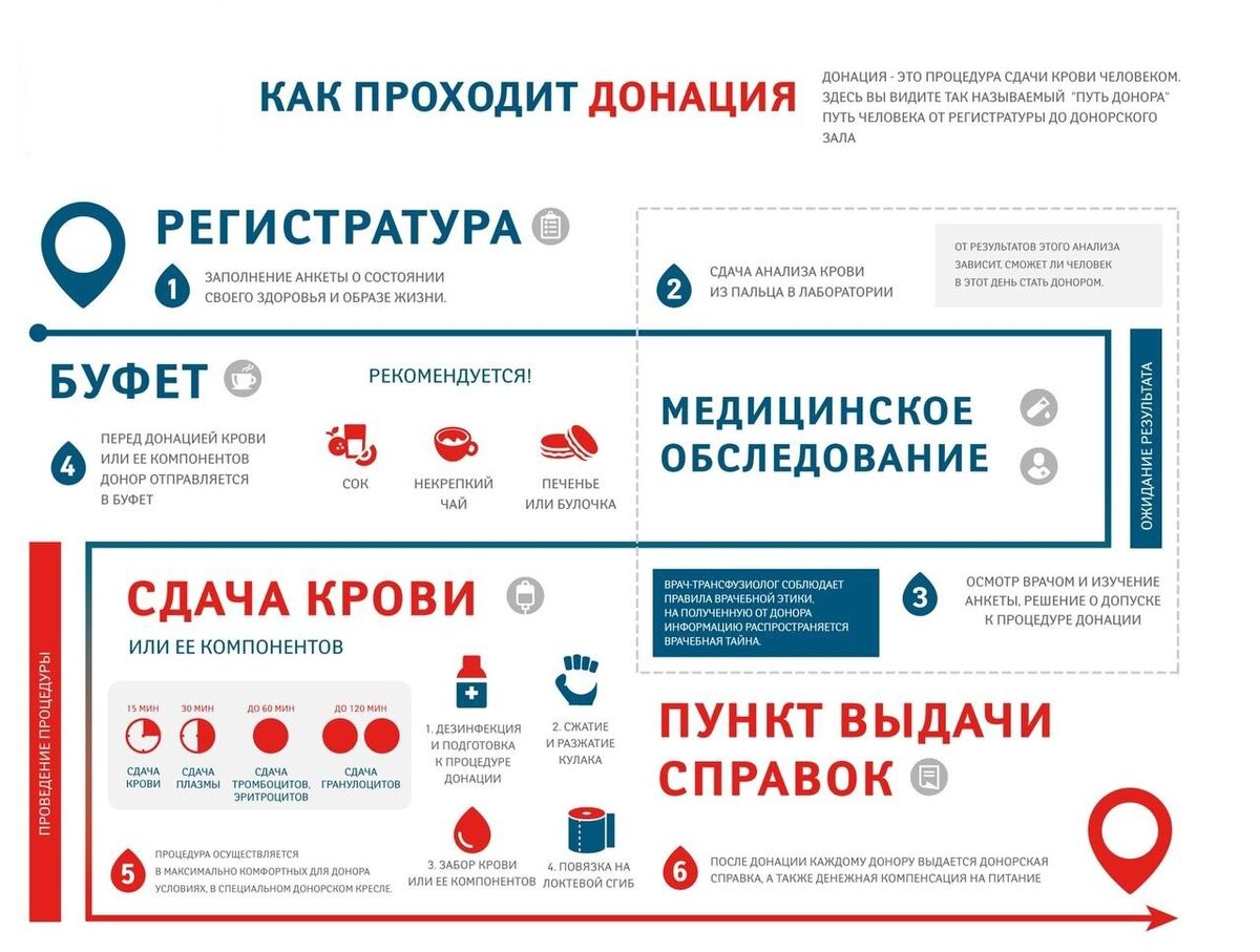 Как проходит донация © http://yadonor.ru