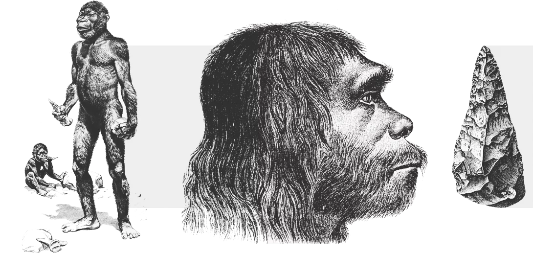 Человек 1 млн лет назад. Люди миллион лет назад. 2 5 Миллиона лет назад. Рост людей в Каменном веке. Каменный век обезьяна человек.