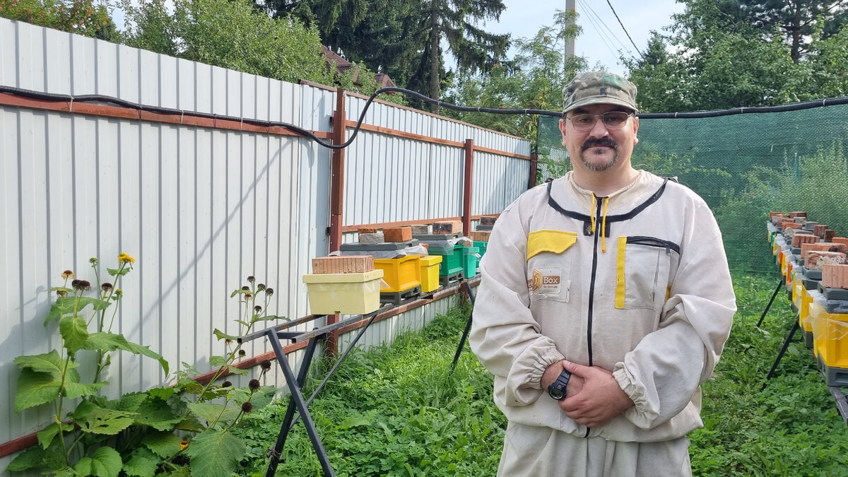 Про подкормку пчёл сахарным сиропом 2022