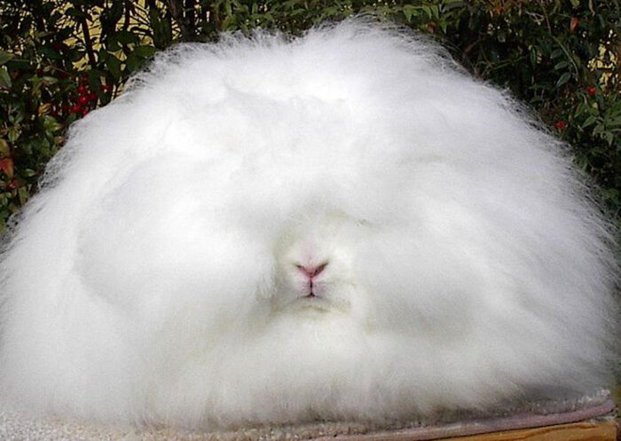 Источник: https://clck.ru/vboPA