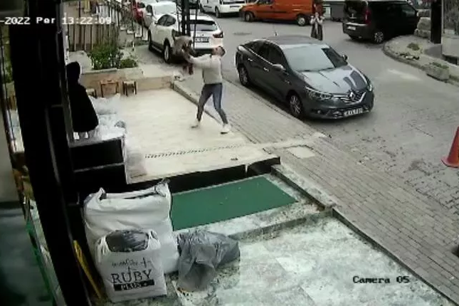     Кошка выпала из окна и упала прямо в руки мужчины: видео с камер наблюдения