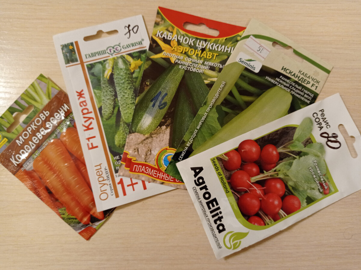 Надо купить нужные семена овощей, предварительно проверив запасы старых