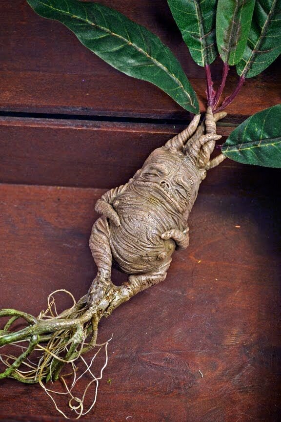 Из открытых источников