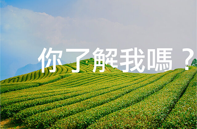 Фото: Shutterstock.com