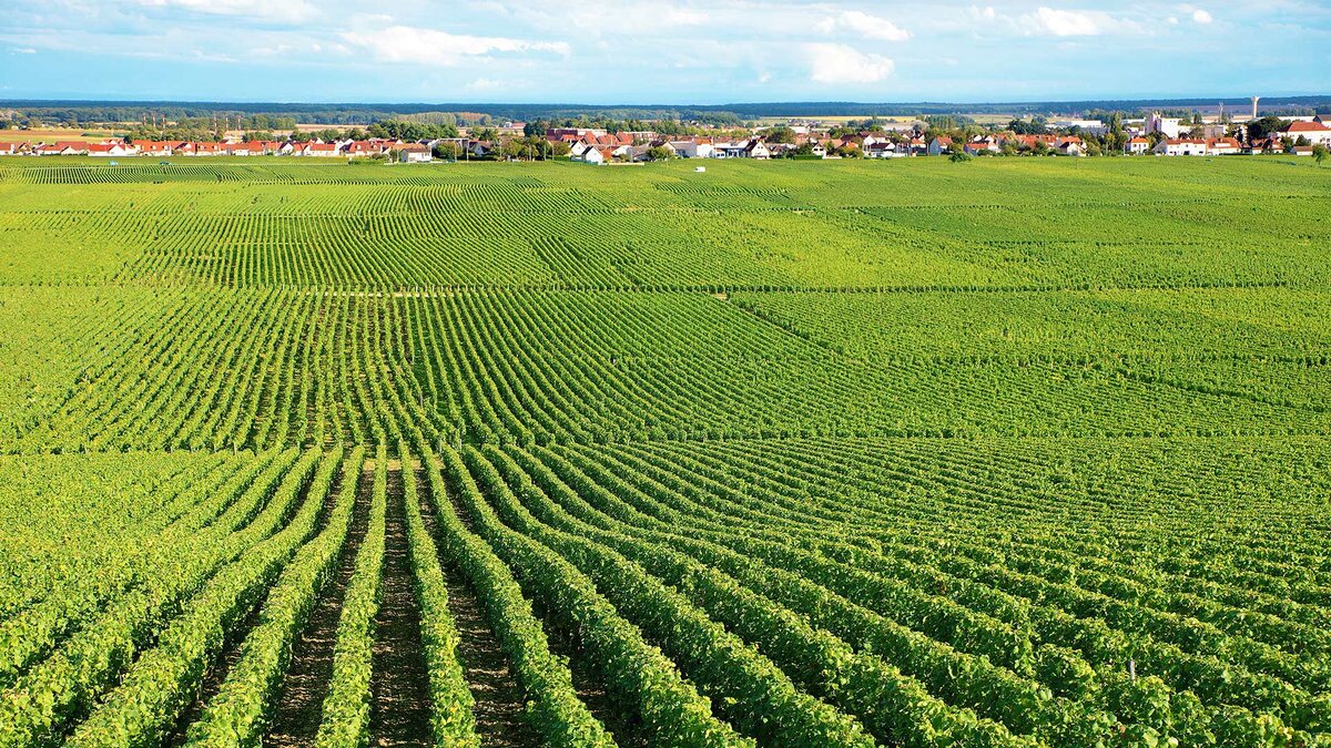 источник Яндекс-картинки