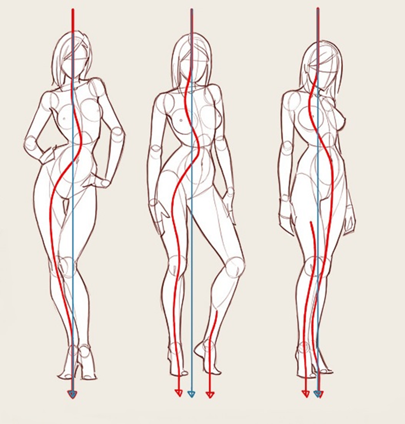Фигура человека анатомия. Анатомия референс в полный рост. Референсы анатомия пропорции. Реферанс пропорции тела. Пропорции тела человека референс.