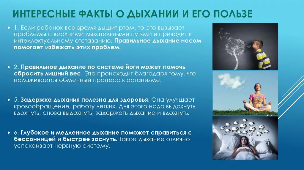 интересные факты о дыхании человека. лёгкие интересные факты. интересные факты о дыхании человека. сообщение на тему дыхательная система. интересные факты о дыхательной системе человека.