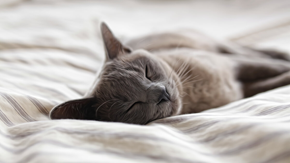 Фото Александра Поссингема на Unsplash