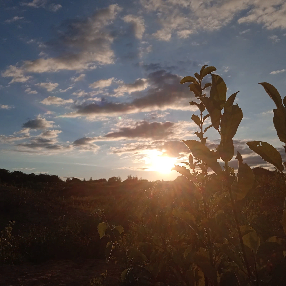Денис фоткал В Большой Песочне (на Калашниково по трассе Москва-Питер), карьер рядом, Денис - фотограф.