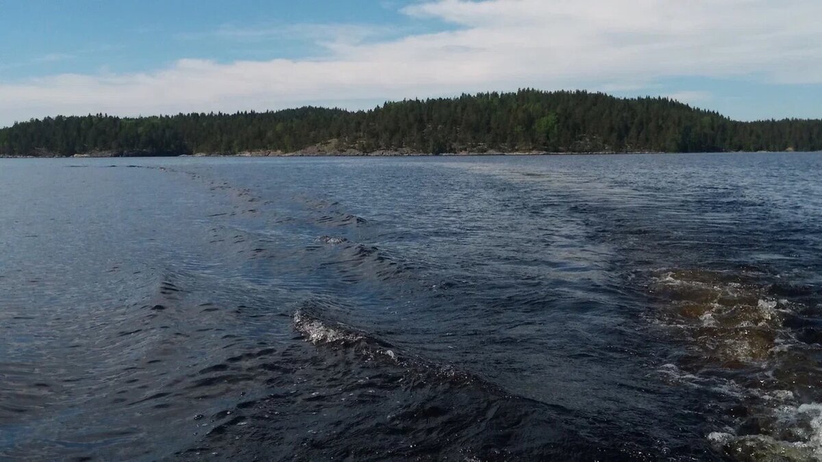    Заведующая кафедрой природообустройства и водопользования КФУ Нафиса Мингазова перечислила причины мора животных на озере Большое Чуйково в Казани. Об этом сообщили в ГТРК «Татарстан».