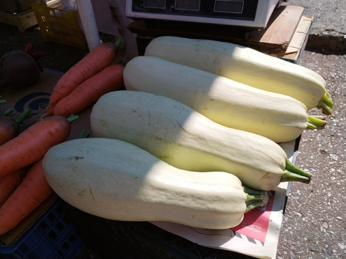 Фото: Рамия ГАРИФУЛЛИНА