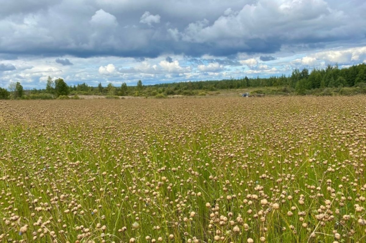   Правительство России поддержало смоленскую инициативу