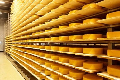    Сыроварня в Истре © Пресс-служба Губернатора и Правительства Московской области