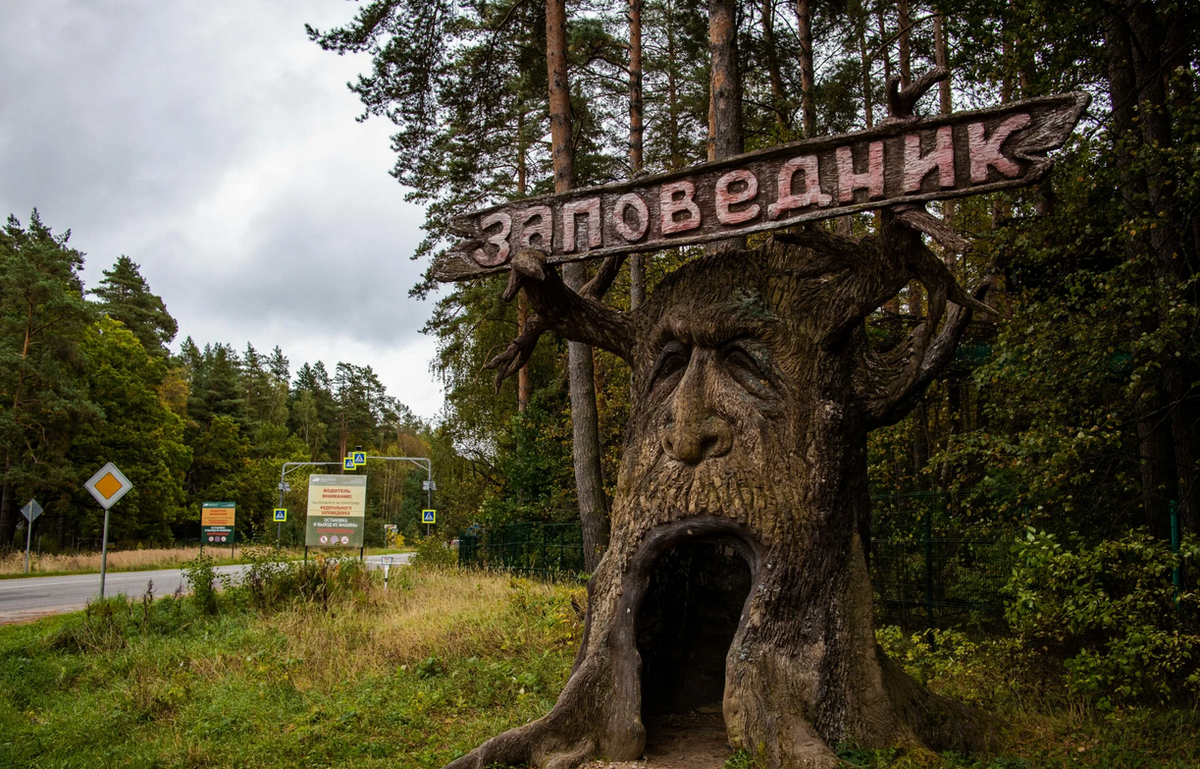 Национальные парки подмосковья. Данки Серпухов заповедник. Приокско-Террасный заповедник. Приокско-Террасный заповедник в Подмосковье в Серпухове. Теракско Приокский заповедник.