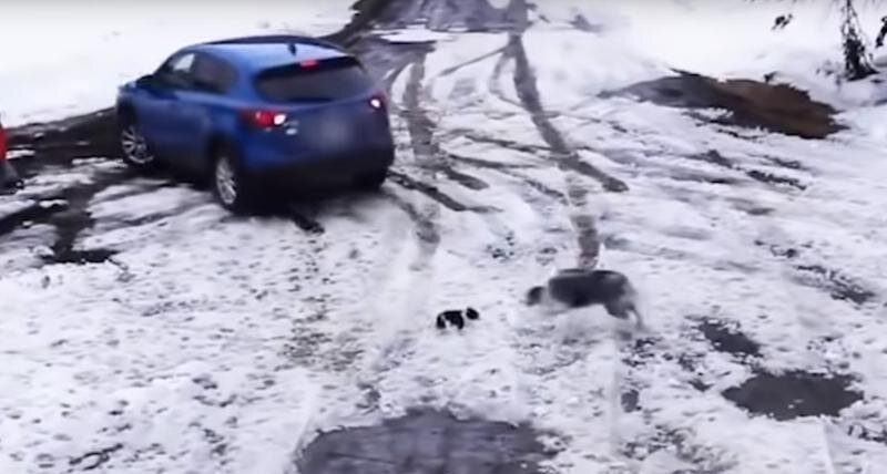 Кадр из видео