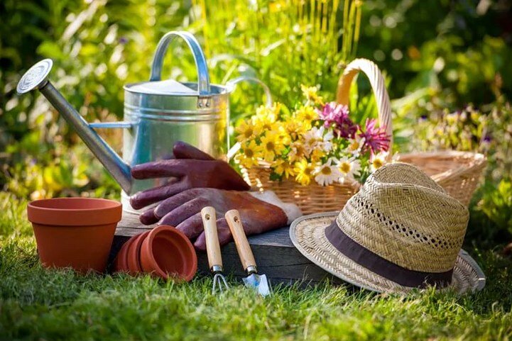 И как от них избавиться: просто и это работает.