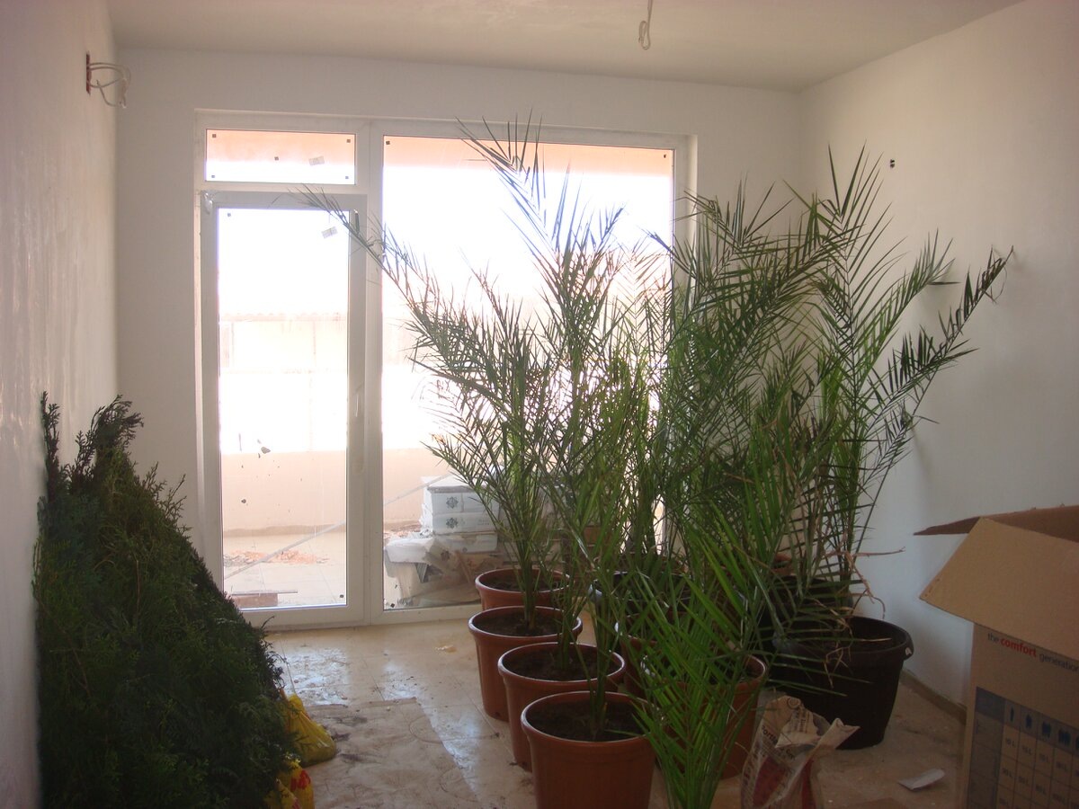 Одна из комнат..