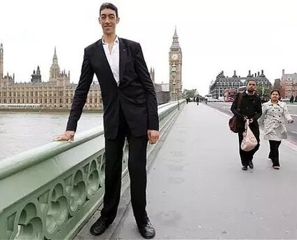 высокий человек. студент png. разный рост. высокий рост. высокий человек.