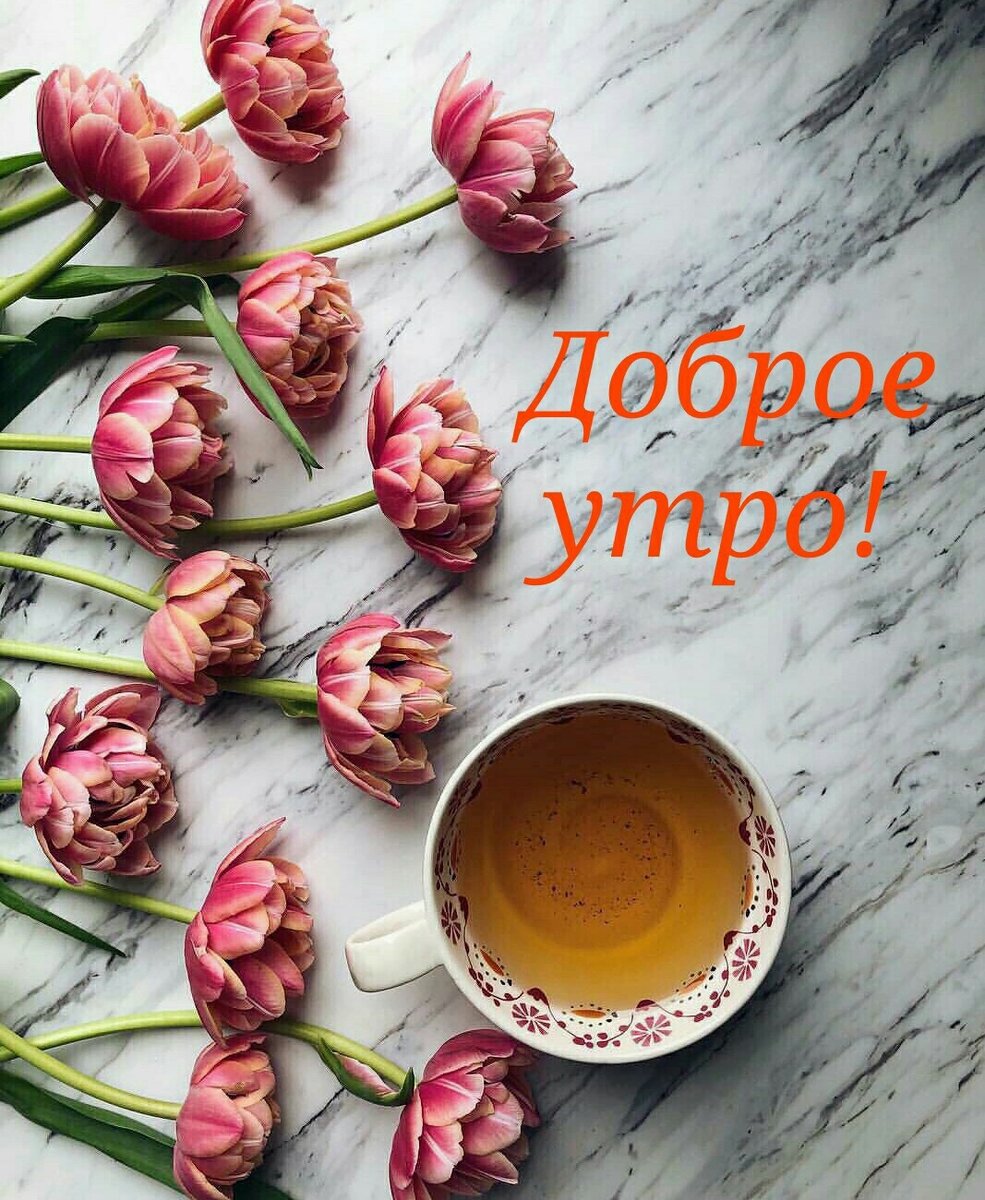 Мы иногда жалуемся, на то, что любимый не так часто делает милые приятные сюрпризы или говорит комплименты. А как ведём себя мы? И что можно исправить?